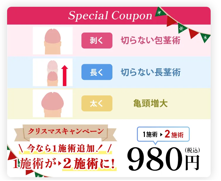 クリスマスキャンペーン　今なら1施術追加！	1施術→２施術に！ 1施術→２施術980円(税込)